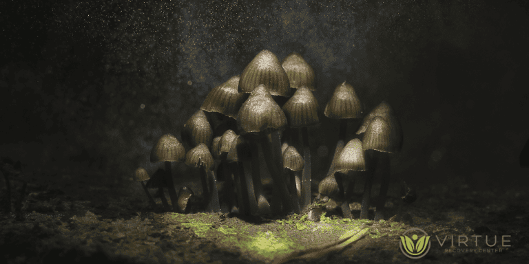 Psilocybin-Induced Anxiety
