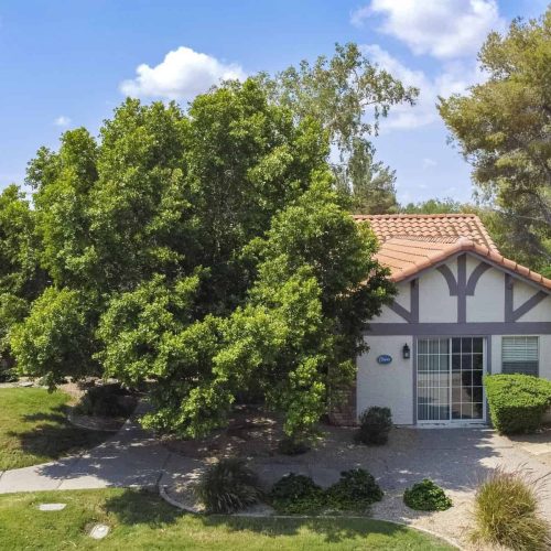 DCIM101MEDIADJI_0767JPG